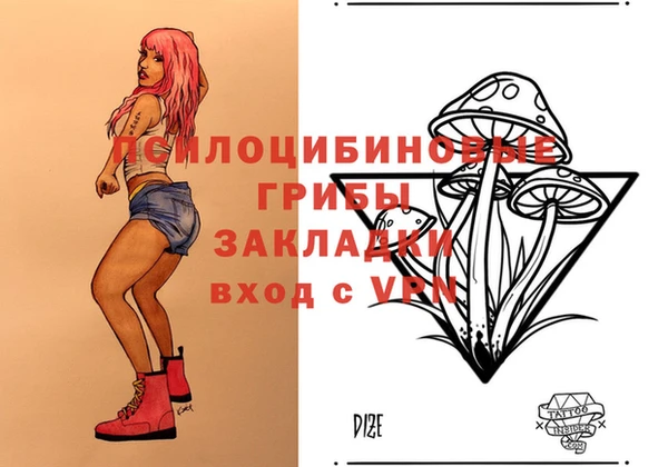 дурь Алексеевка