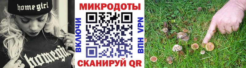 закладки  Чистополь  Галлюциногенные грибы ЛСД 
