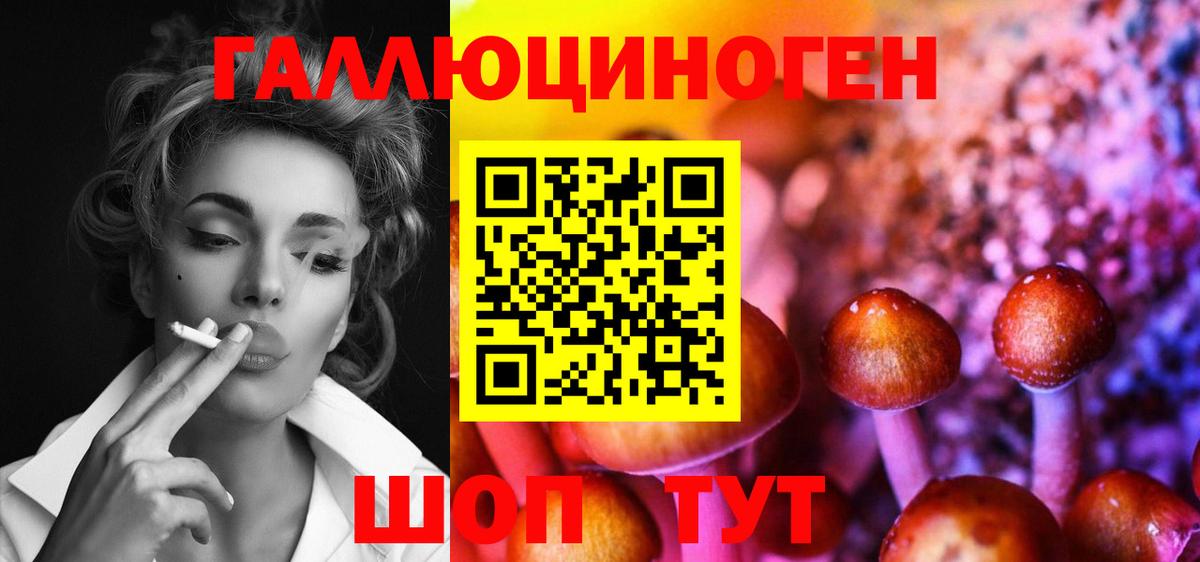 Галлюциногенные грибы мицелий  Псилоцибиновые грибы мицелий  Вход с VPN  Чистополь 